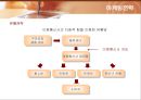 삼성전자 애니콜(ANYCALL)의 마케팅전략 36페이지