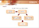 삼성전자 애니콜(ANYCALL)의 마케팅전략 37페이지