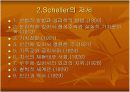 막스 쉘러에 대한 자료조사 및 발표 자료 5페이지