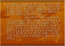 막스 쉘러에 대한 자료조사 및 발표 자료 13페이지