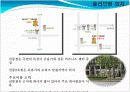 신 소매업태 드럭스토어 3사 비교 및 분석 11페이지