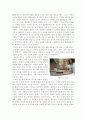 HD방송 전환에 대한 보고서 5페이지