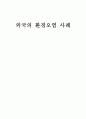 외국의 환경오염 사례 8페이지