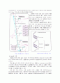 유전자, 게놈, 염색체, DNA, RNA 용어를 각각 설명하시오. 8페이지