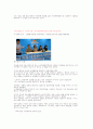 이주민의 실태와 사회복지 대책에 관한 리포트,다문화가정 청소년의 문제들 11페이지