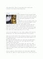 디자인의 역사 (~현재 디자인사까지) 10페이지