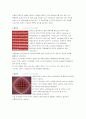 디자인의 역사 (~현재 디자인사까지) 19페이지