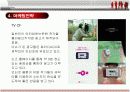 [마케팅조사]무선인터넷 LGT '오즈' 의 마케팅전략 분석 및 전망(A+리포트) 17페이지