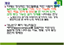 치매의 병리변화 원인 증상 치료 2페이지