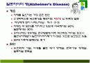 치매의 병리변화 원인 증상 치료 13페이지