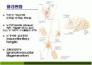 치매의 병리변화 원인 증상 치료 14페이지