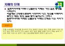 치매의 병리변화 원인 증상 치료 21페이지