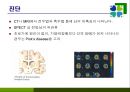 치매의 병리변화 원인 증상 치료 29페이지