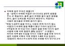 치매의 병리변화 원인 증상 치료 43페이지