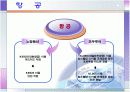 유럽여행상품 비교분석 10페이지