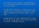 부산은행 발표자료 17페이지