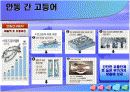 수산물가공업의 현재와 미래 17페이지