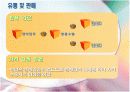 녹산김양식 8페이지