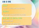 녹산김양식 9페이지