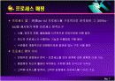BPM과 BPR 8페이지