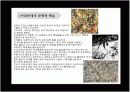 영화의 의상분석 (로마의 휴일) 9페이지