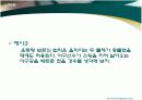 운동량과 충격량 발표자료 13페이지