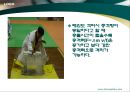 운동량과 충격량 발표자료 28페이지
