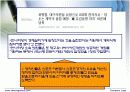 스포츠와 정치,경제의 관계 사례조사 11페이지