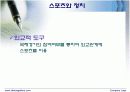 스포츠와 정치,경제의 관계 사례조사 12페이지