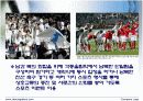 스포츠와 정치,경제의 관계 사례조사 16페이지