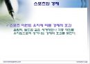 스포츠와 정치,경제의 관계 사례조사 31페이지