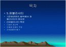 문화마케팅 5페이지