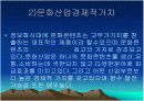 문화마케팅 7페이지