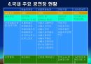 문화마케팅 21페이지