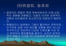 문화마케팅 53페이지