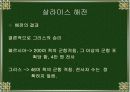살라 미스 해전.ppt자료 20페이지