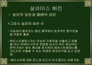 살라 미스 해전.ppt자료 22페이지