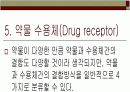 [간호학]약리학총론 13페이지