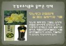 노인소비자교육 - 태진아 & 송대관과 함께 하는 건강보조식품 소비자 피해 예방교육 22페이지