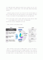 BPM 적용사례 분석 4페이지