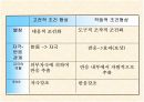 수학학습심리학-스키너 3페이지