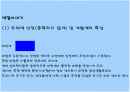 파란색 색에 대한 분석입니다. 1페이지