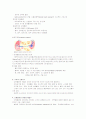 맥관계 구조와 기능 3페이지