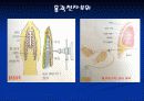 호흡기계시술 6페이지