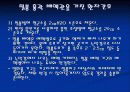 호흡기계시술 20페이지