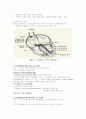 순환기계 구조와 기능 3페이지