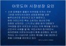 국내 아웃도어 시장의 성장과 현황분석 케이스 발표 PPT 노스페이스 코오롱스포츠 K2코리아 13페이지