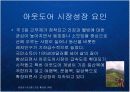 국내 아웃도어 시장의 성장과 현황분석 케이스 발표 PPT 노스페이스 코오롱스포츠 K2코리아 14페이지