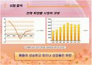 [브랜드마케팅]실버세대 여성들을 위한 한방 기능성화장품 출시전략 (A+리포트) 4페이지