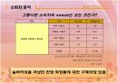 [브랜드마케팅]실버세대 여성들을 위한 한방 기능성화장품 출시전략 (A+리포트) 13페이지